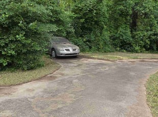 Leaf Removal by Kyle Bryant for Kathy C. in Greenville, SC