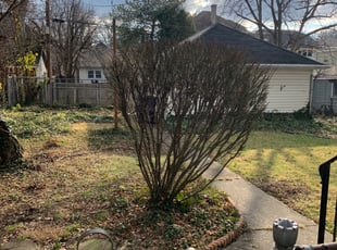 Bush Trimming by Davon Clark for Bill R. in Dayton, OH
