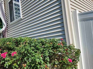 Bush Trimming by Bartolo Alvarez for LaShauna . in Upper Marlboro, MD