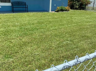 Darrell W.'s Lawn Care service result
