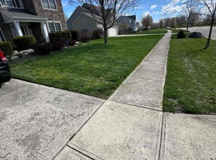 Courtney W.'s Grass Cutting service result