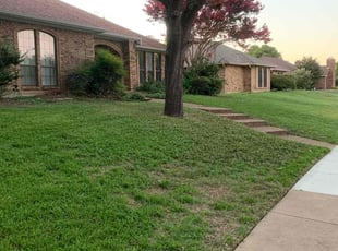 Bush Trimming by Junior G for Sarah W. in Plano, TX
