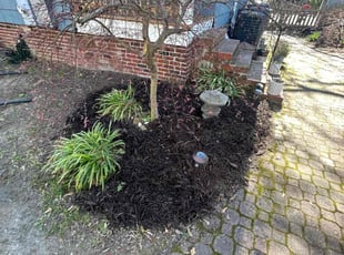 Mulching by James Mozelle for Andrew B. in Norfolk, VA