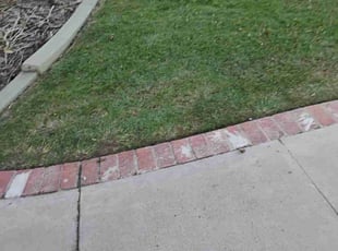 Weeding by Louie Priest for Ben H. in Bakersfield, CA