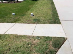 Landscaping by guadalupe renteria for Vickie C. in Jarrell, TX
