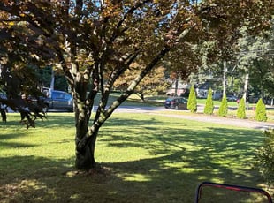April S.'s Lawn Care service result