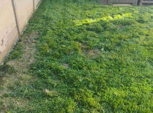 Cleanups by Roberto Medina for Stevie B. in National City, CA