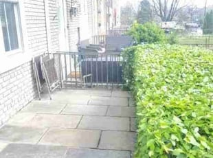 Bush Trimming by Chris Stewart for Heather H. in Washington, D.C., DC