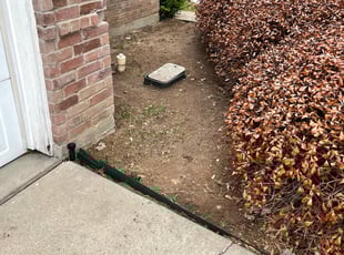 Cleanups by Jesse Salas for Jennifer L. in Fort Worth, TX