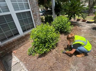 Weeding by Nakir Bates for Jeanne B. in Lillian, AL