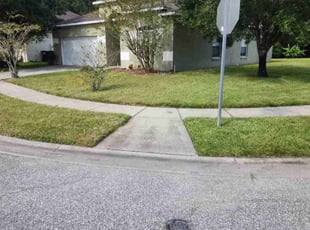Bush Trimming by Juan Casillas for Stephanie M. in Orlando, FL