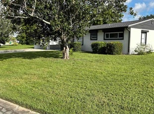 Denise k.'s Lawn Mowing Service service result