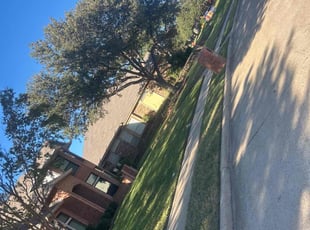 Ruby R.'s Lawn Mowing Service service result