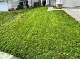 Gena A.'s Lawn Service service result