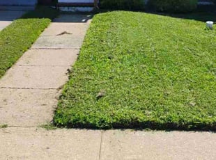 Rickey G.'s Grass Cutting service result