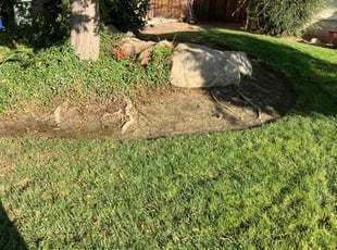 Ernest W.'s Lawn Mowing service result