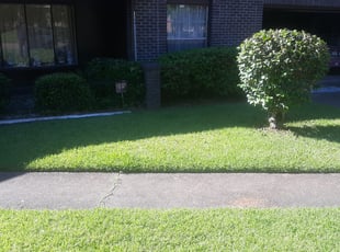 Bush Trimming by Lamon Sumler for James J. in Jackson, MS
