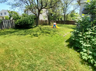 Christa A.'s Lawn Mowing service result