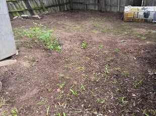 Leaf Removal by Ron O'Shields for Misty A. in Sand Springs, OK
