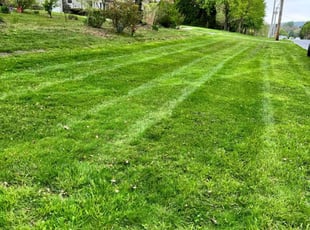 Jonathan B.'s Grass Cutting service result