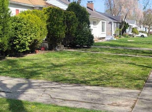 Linda W.'s Yard Cutting service result