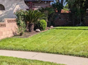 Bush Trimming by Adam Pina for Robert E. in San Dimas, CA