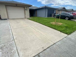 Michele B.'s Lawn Service service result