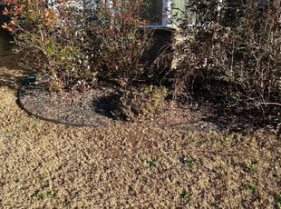 Weeding by James Douglas for Phebe B. in Dallas, GA