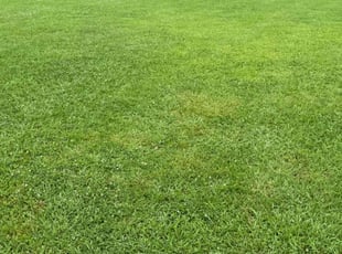 Aeration by Kathia Aguilar for Jim F. in Alabaster, AL