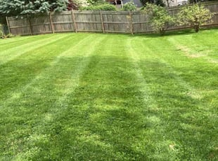 Zellan C.'s Lawn Service service result
