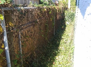 Cleanups by Blake Andersen for Shalon P. in Cincinnati, OH