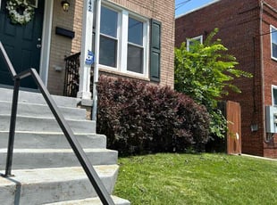 Bush Trimming by Steven Foster for Danielle P. in Washington, DC