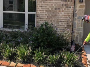 Weeding by Eduardo Santoyo for Geoffrey M. in Cypress, TX