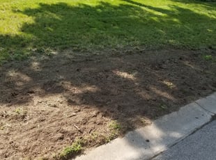Cleanups by Nate Reed for Virginia B. in Dayton, OH