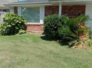 Bush Trimming by Shawn Dufrene for Patricia M. in Metairie, LA