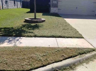 Connie C.'s Lawn Mowing service result