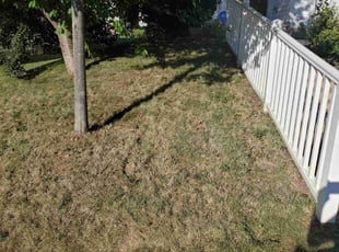 Leaf Removal by Shawn Stevens for Marie K. in Allentown, PA