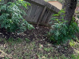 Leaf Removal by Alvaro Garcia for Nick F. in Cedar Park, TX