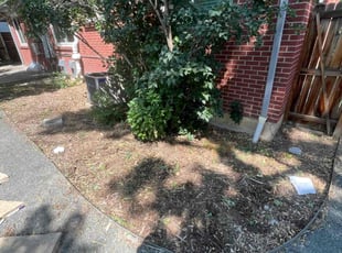 Cleanups by David Williams for Joel L. in Englewood, CO