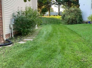 Ryan G.'s Grass Cutting service result