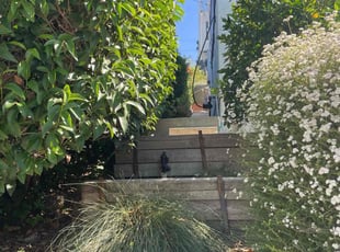 Bush Trimming by Brian Gomez for Adina L. in Los Angeles, CA