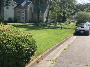 Weeding by Patrick Card for Eric D. in Chesapeake, VA