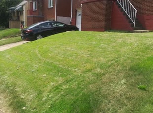 Camille R.'s Lawn Care service result
