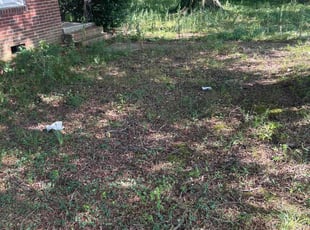 Cleanups by Shaniqua Beard for Anmar I. in Memphis, TN