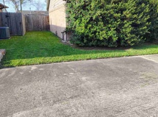 Sharon N.'s Grass Cutting service result