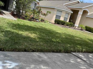 Lael H.'s Lawn Care service result