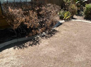 Weeding by Kevin Torres for Annur S. in Bakersfield, CA