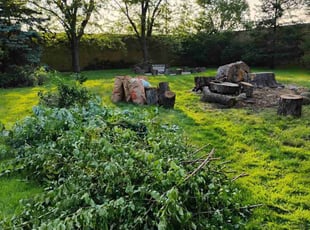 Cleanups by MIGUEL DELEON for LaToya B. in Minneapolis, MN