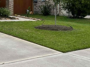 Weeding by efrain rivera for Jada G. in Rosharon, TX