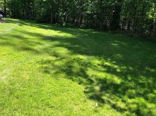 Sandra B.'s Lawn Maintenance service result